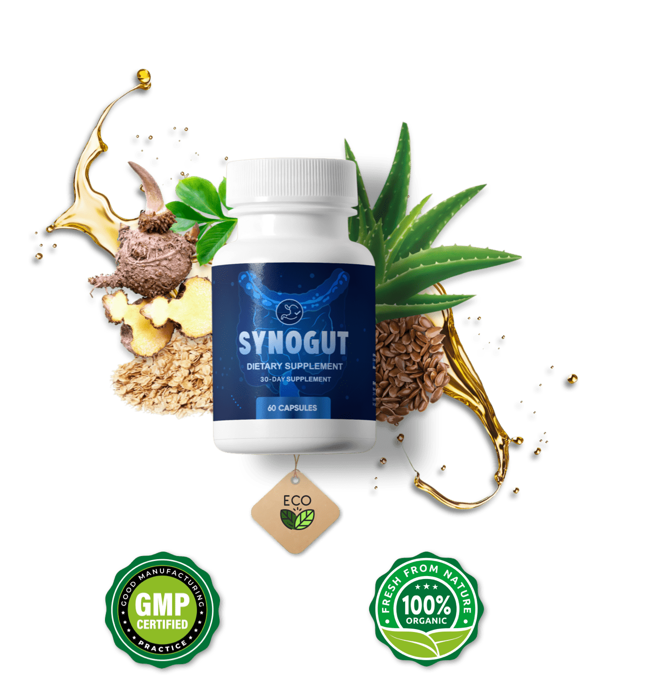 SynoGut Premium Digestive Health Supplement - Natural Gut Wellness Formula